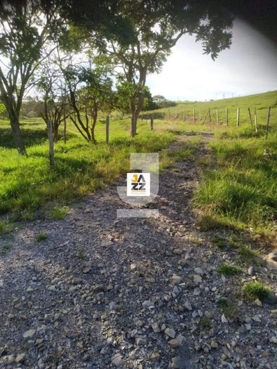 Sítio, 2 hectares - Foto 2