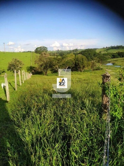 Sítio, 2 hectares - Foto 5