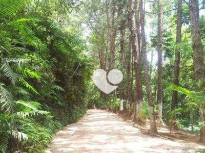 Sítio, 4 quartos, 1000 m² - Foto 4