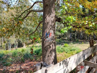 Terreno, 230000 m² - Foto 5