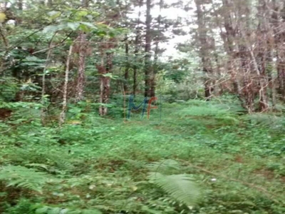 Terreno, 1210000 m² - Foto 2