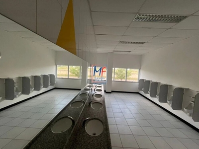 Depósito-Galpão, 4610 m² - Foto 3