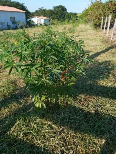 Terreno, 1750 m² - Foto 2