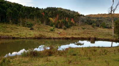 Sítio, 45 hectares - Foto 1