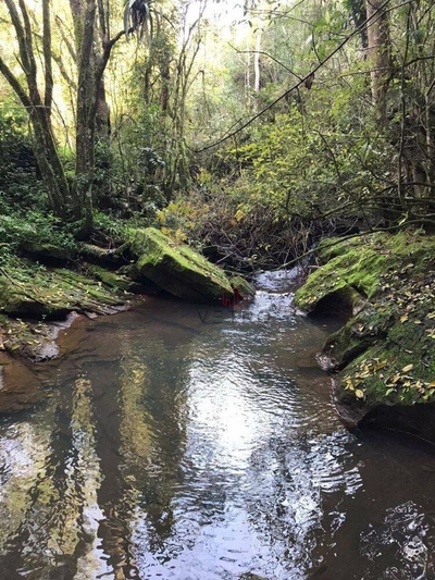 Sítio, 3000 m² - Foto 2