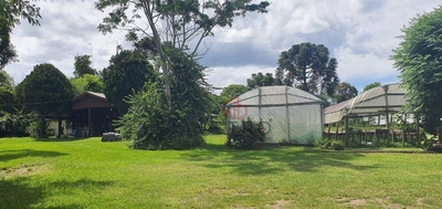 Sítio, 10 hectares - Foto 3