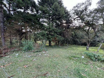 Terreno, 4825 m² - Foto 2