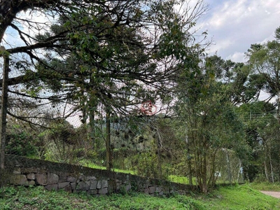 Terreno, 1600 m² - Foto 3