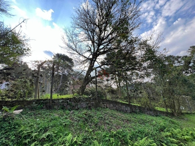 Terreno, 1600 m² - Foto 2