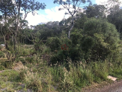 Terreno, 790 m² - Foto 4