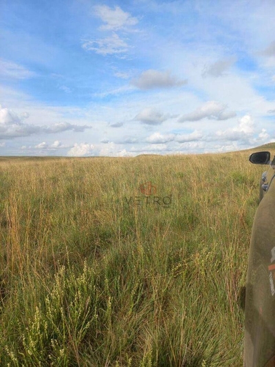 Sítio, 18 hectares - Foto 5