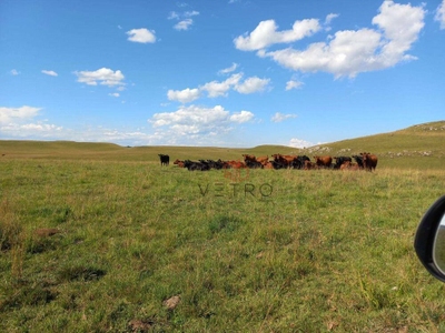 Sítio, 18 hectares - Foto 2