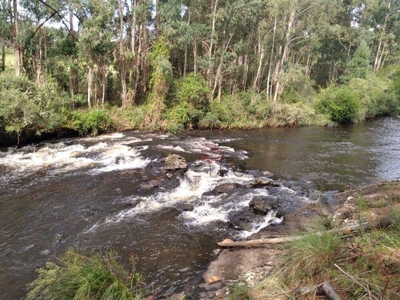 Sítio, 2 quartos, 25 hectares - Foto 5