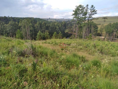 Sítio, 2 quartos, 25 hectares - Foto 3