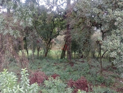 Terreno, 672 m² - Foto 4