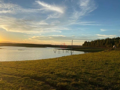 Sítio, 5 hectares - Foto 3