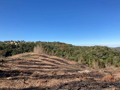 Sítio, 12 hectares - Foto 1