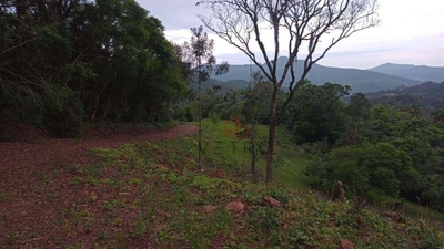 Sítio, 9 hectares - Foto 2