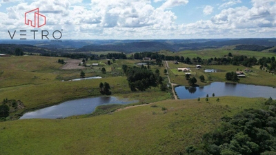 Sítio, 9 hectares - Foto 3