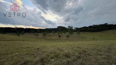 Sítio, 9 hectares - Foto 5