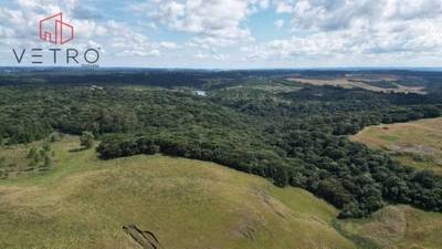 Sítio, 9 hectares - Foto 1