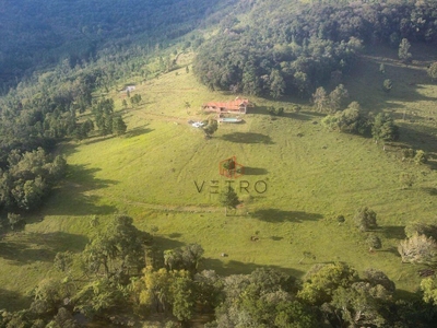 Sítio, 3 quartos, 31 hectares - Foto 5