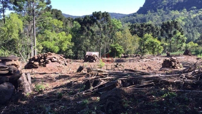 Sítio, 7 hectares - Foto 1