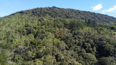 Sítio, 2 quartos, 15 hectares - Foto 4