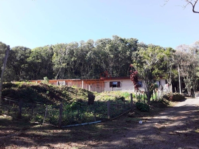 Sítio, 4 quartos, 6 hectares - Foto 3