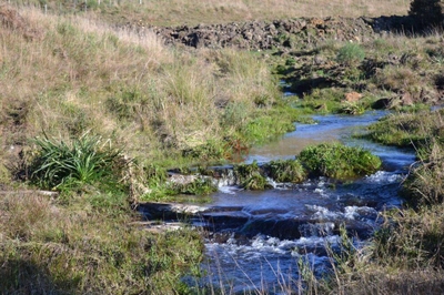 Sítio, 29 hectares - Foto 5