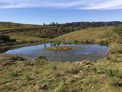 Sítio, 29 hectares - Foto 4