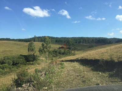 Sítio, 29 hectares - Foto 3