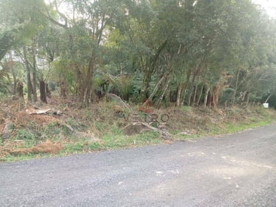 Terreno, 646 m² - Foto 4