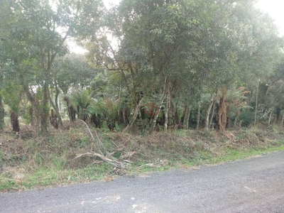 Terreno, 646 m² - Foto 5