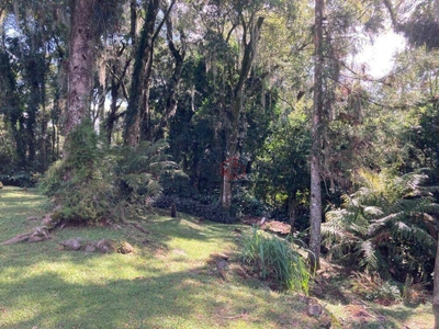 Casa, 3 quartos, 208 m² - Foto 5