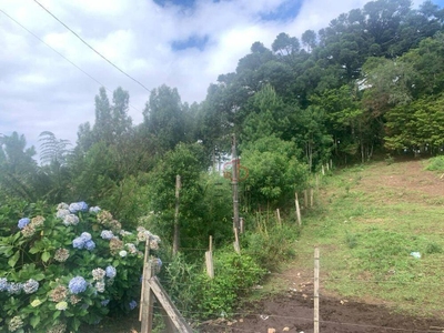 Terreno, 7790 m² - Foto 3