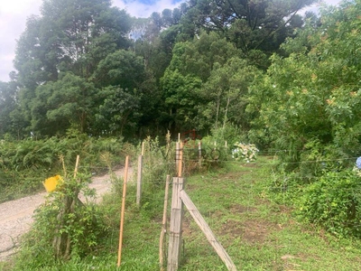 Terreno, 7790 m² - Foto 2