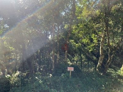 Terreno, 715 m² - Foto 3