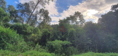 Sítio, 9 hectares - Foto 1