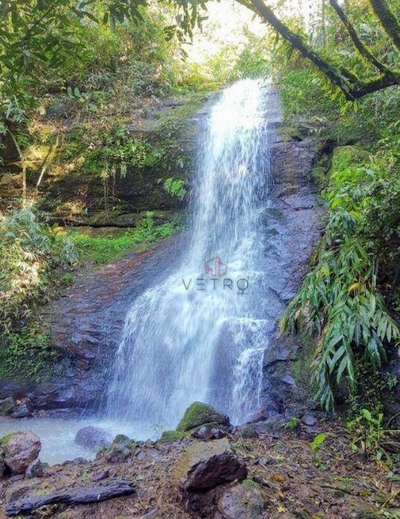 Sítio, 4 quartos, 8 hectares - Foto 3