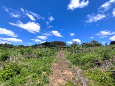 Sítio, 4 hectares - Foto 2