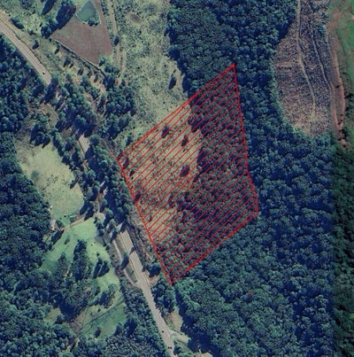 Terreno, 15 hectares - Foto 3