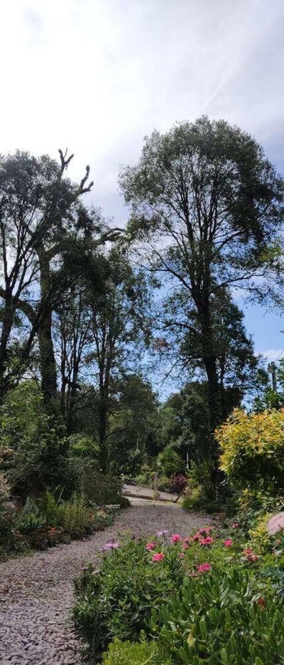 Sítio, 2 quartos, 10000 m² - Foto 5