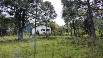 Sítio, 2 quartos, 10000 m² - Foto 1