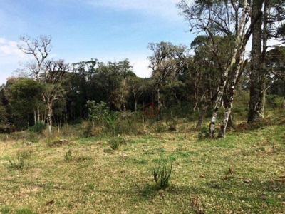 Sítio, 1 quarto, 200 hectares - Foto 5