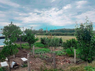 Sítio, 5 hectares - Foto 3