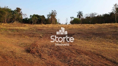 Chácara, 2 hectares - Foto 2