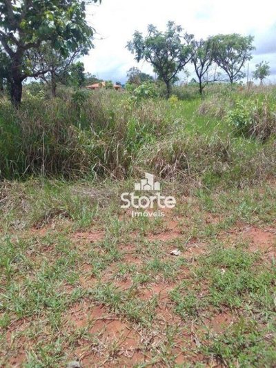 Chácara, 2000 m² - Foto 5