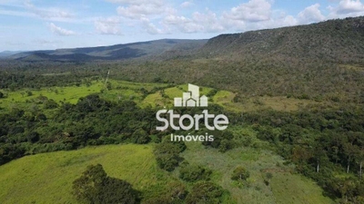 Fazenda-Sítio-Chácara, 276 hectares - Foto 4