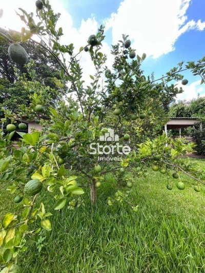 Chácara, 5100 m² - Foto 4